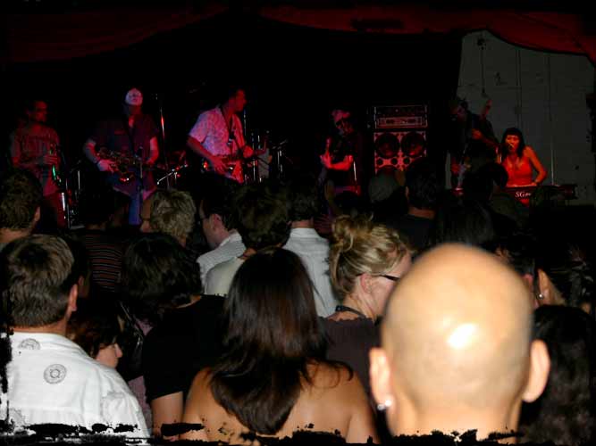cd launch: the zoo