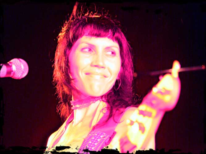 cd launch: the zoo