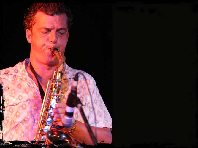 cd launch: the zoo